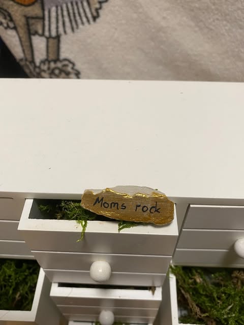 Decorative stone "Snailed it"