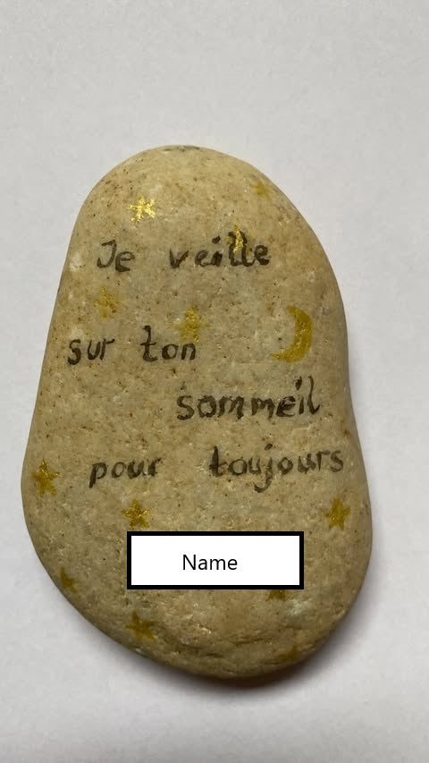 Decorative stone "Snailed it"